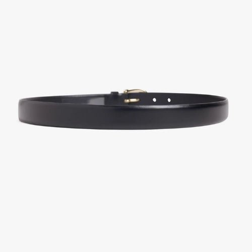 The Favorite Belt