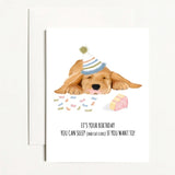 It's Your Birthday You Can Sleep (and eat cake) If You Want To!