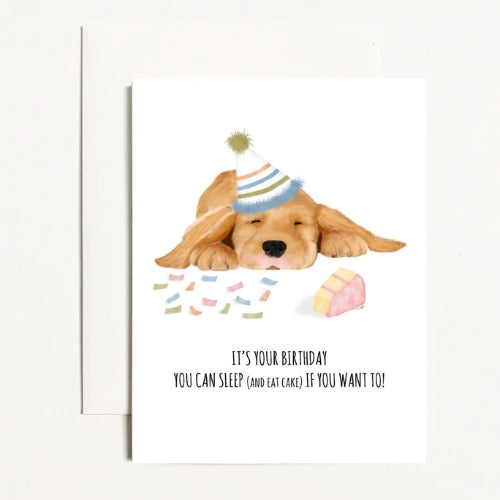 It's Your Birthday You Can Sleep (and eat cake) If You Want To!