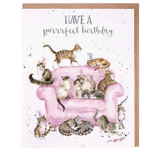 A Purrrfect Birthday