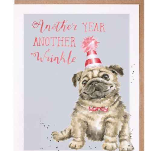 Another Wrinkle Pug-Birthday