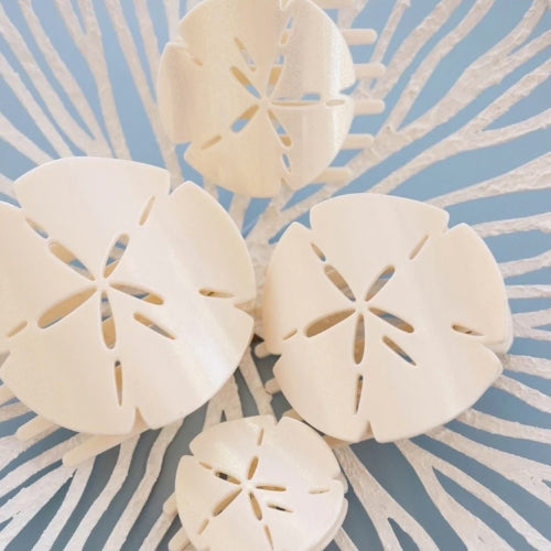 Tiny flat shape hair clip-Sand Dollar