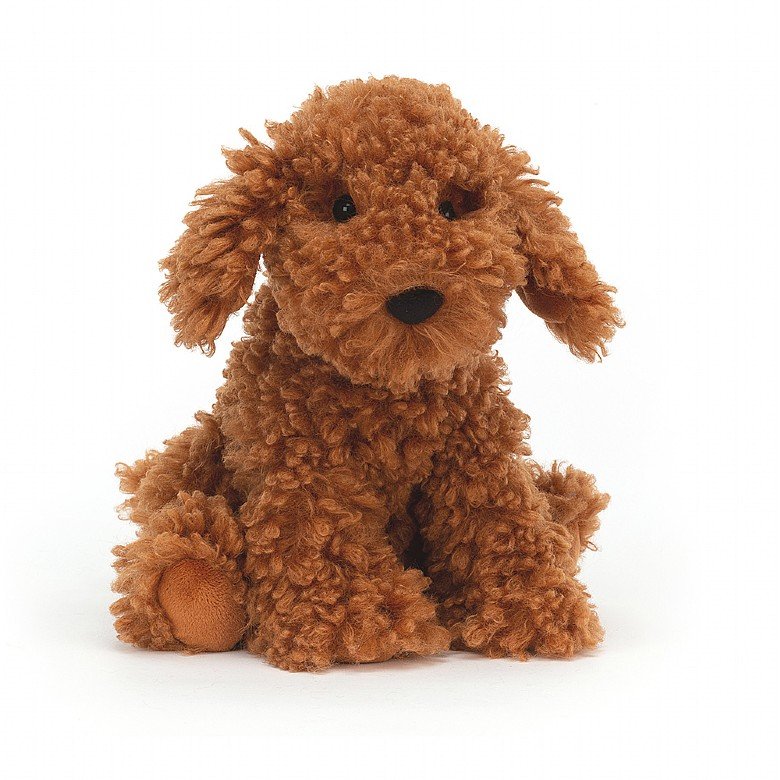 Cooper Doddle Dog