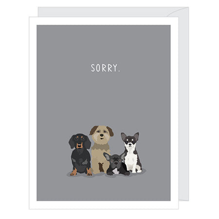 Sorry Cats - Pet Sympathy