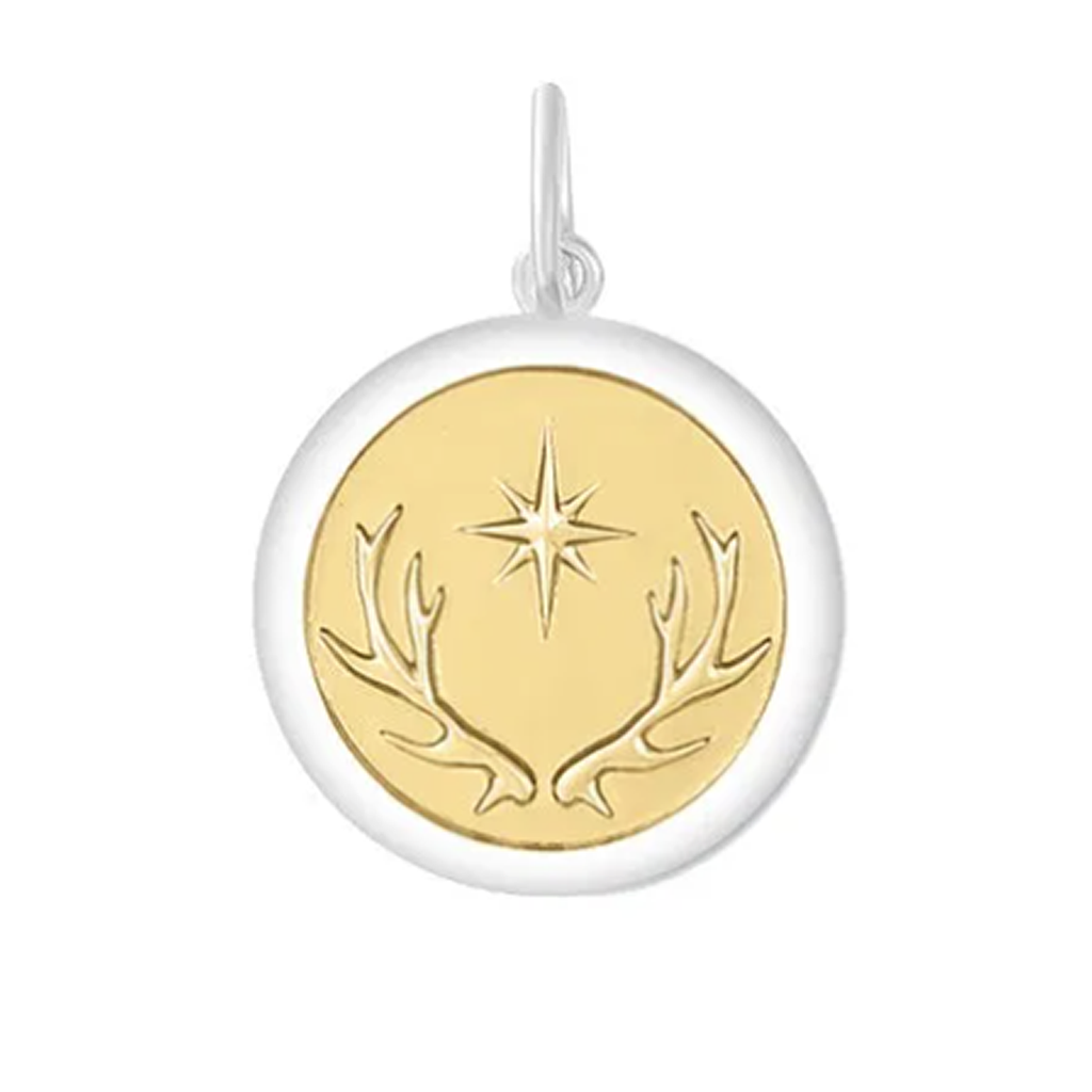 Medium Pendant - North Star