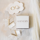 Luxury Jewelry Cleaning Wipes