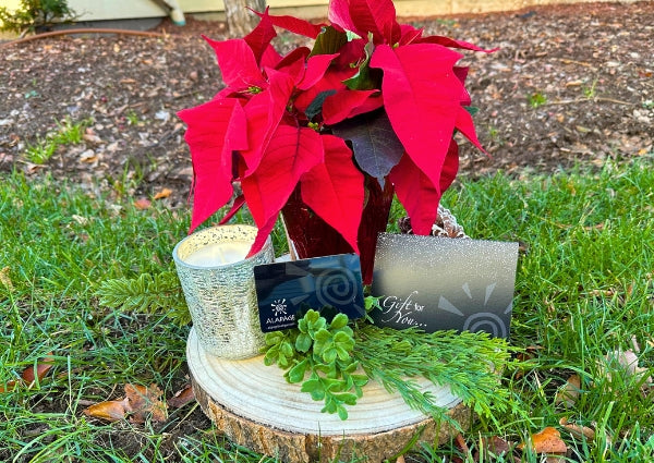 Digital Surprise Delivered