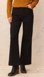 Fly Front 5 Pocket Pant
