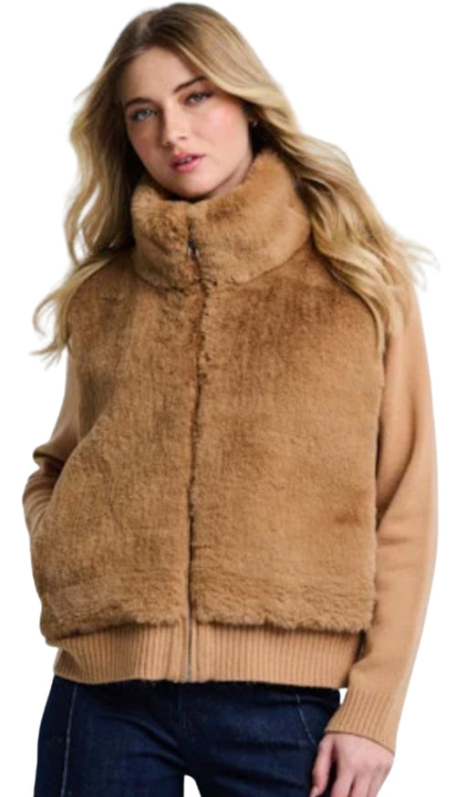 The Teddy