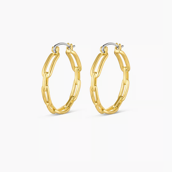Parker Link Small Hoops