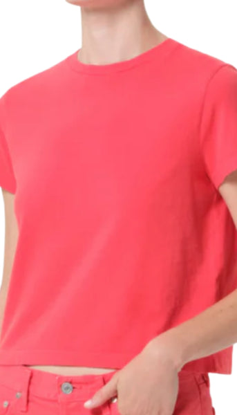 Adine Shrunken Tee