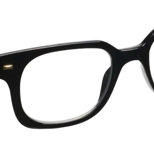 Glossary Reading Glasses