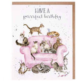 A Purrrfect Birthday