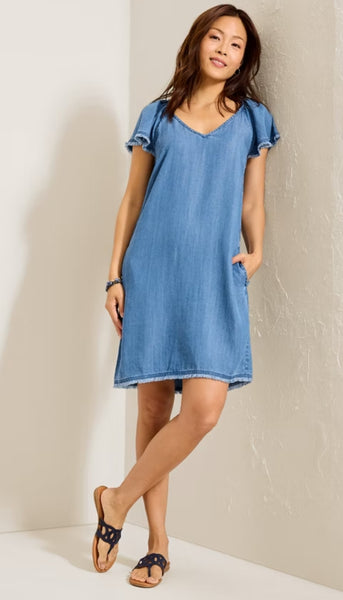 Chambray Flutter Shift Dress