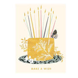 Cake And Candles Birthday