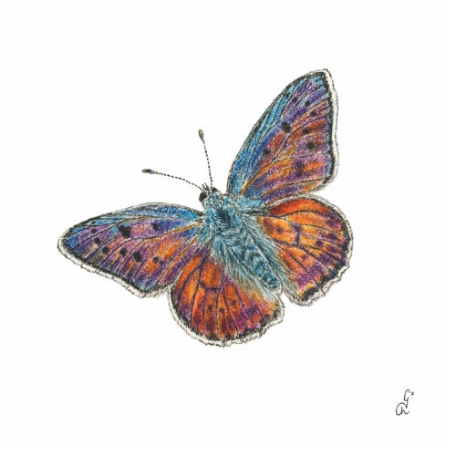 Beverage napkin-Papillon