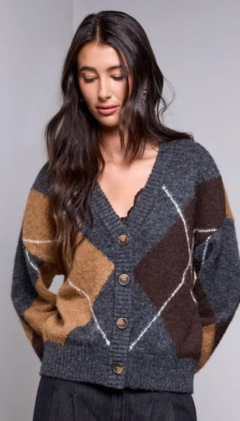 Lofty Argyle Sweater Cardigan