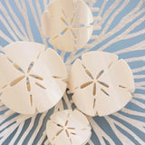 Tiny flat shape hair clip-Sand Dollar
