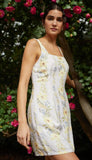 Fitted Smocked Back Mini Dress