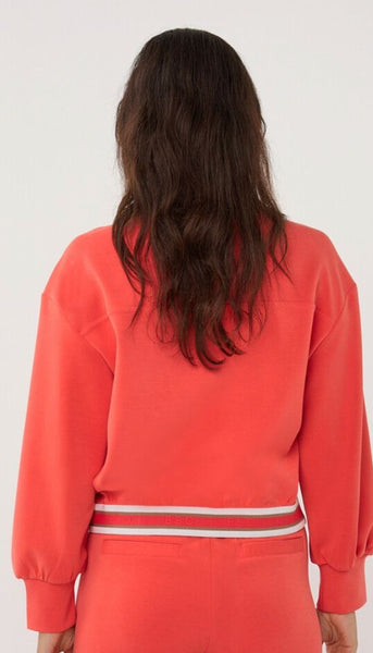 Modal Cardigan Bomber