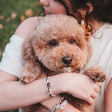 Hair Tie Bracelet-Paws, Medium