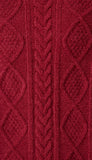 Long Sleeve Cozy Chenille Cable Knit