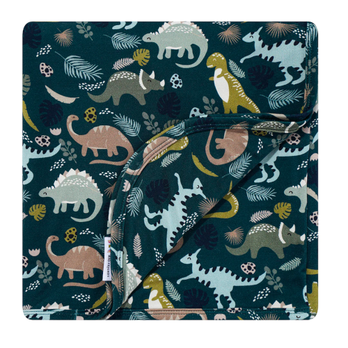 Blanket-Prehistoric Friends Dinosaur