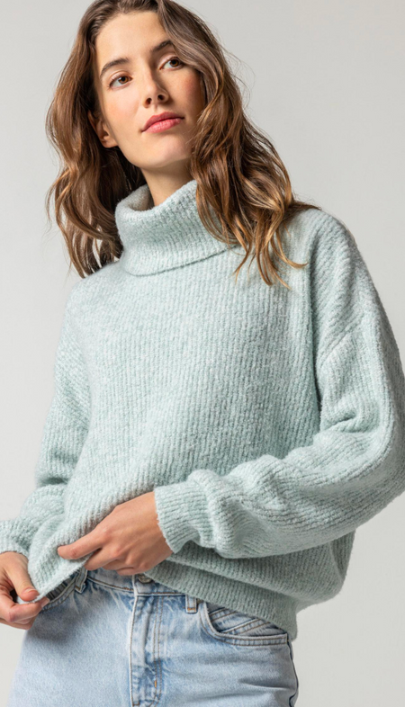 Turtle Neck Sweater With Puff Sleeve