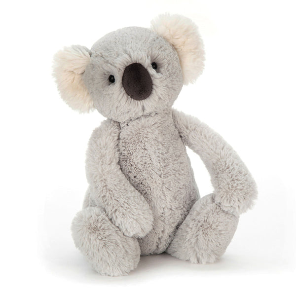 Bashful Koala - Medium