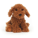 Cooper Doddle Dog